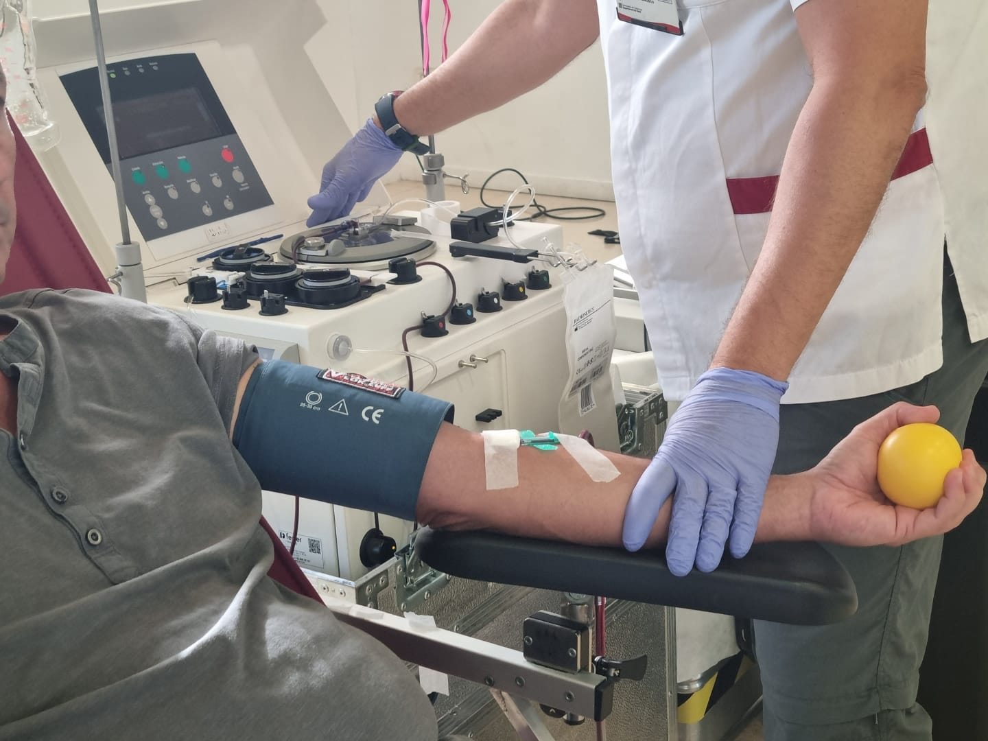 Donació de sang i de plasma