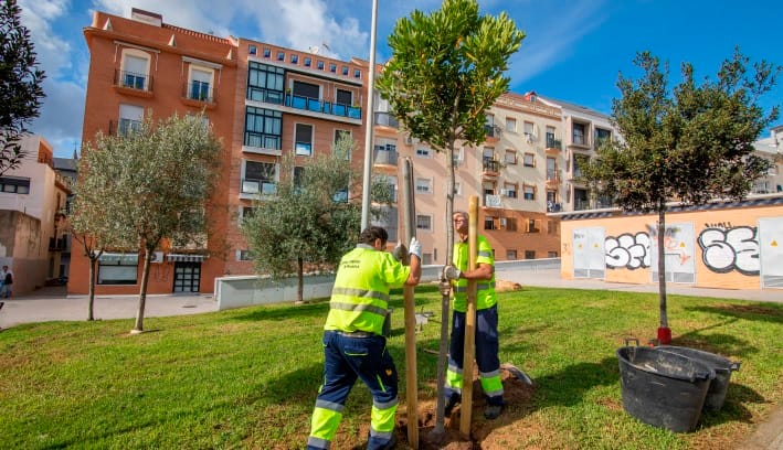 Primer Encuentro de Arboricultura Urbana