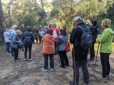 Ruta por las tierras del Castell, bosque de Can Feliu y torrente de Xercavins