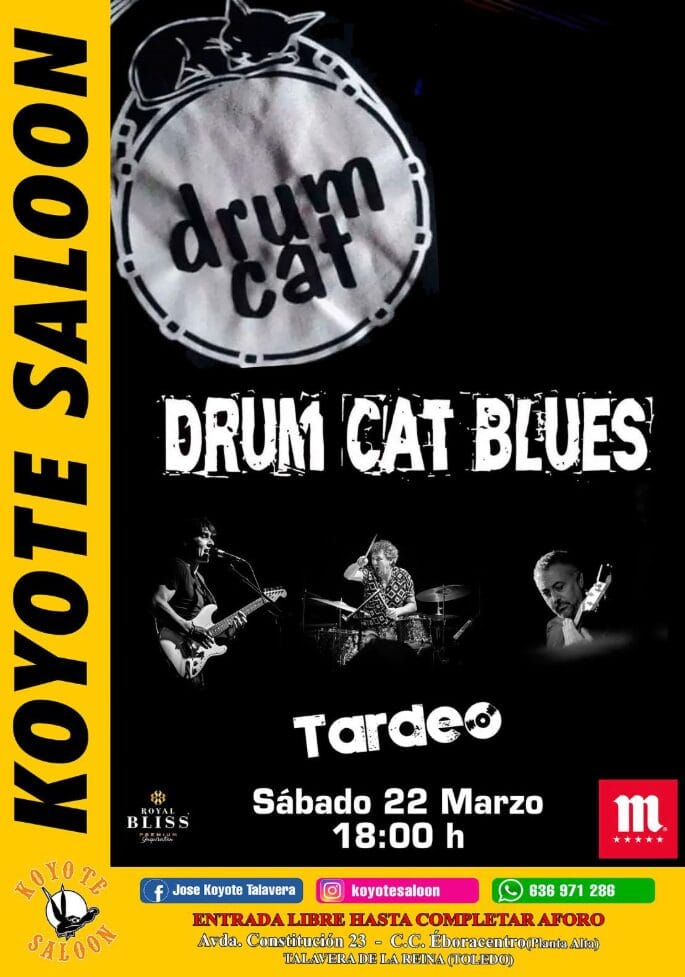 Tardeo con Drum Cat Blues