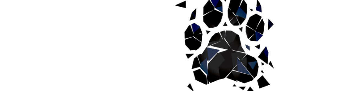 Festival de Cine de Las Américas: Concurso de cortometrajes