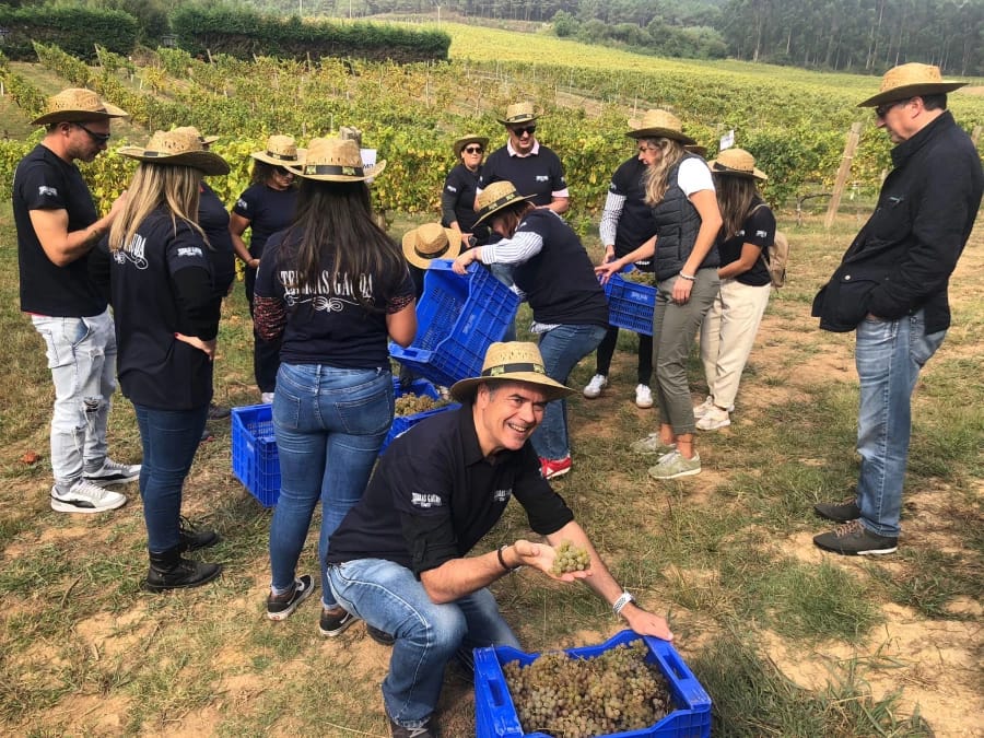 Buses de la Vendimia