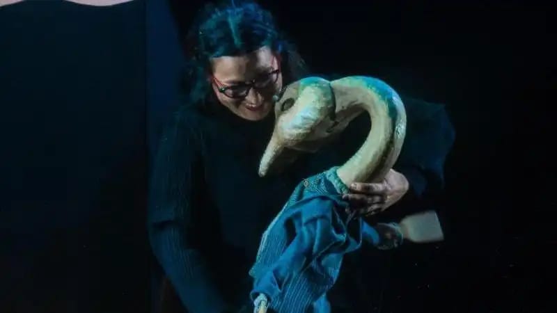 Andersen, el patito feo