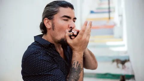 Xoldra das Armónicas