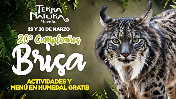 Celebra el 20º cumpleaños de Brisa en Terra Natura Murcia