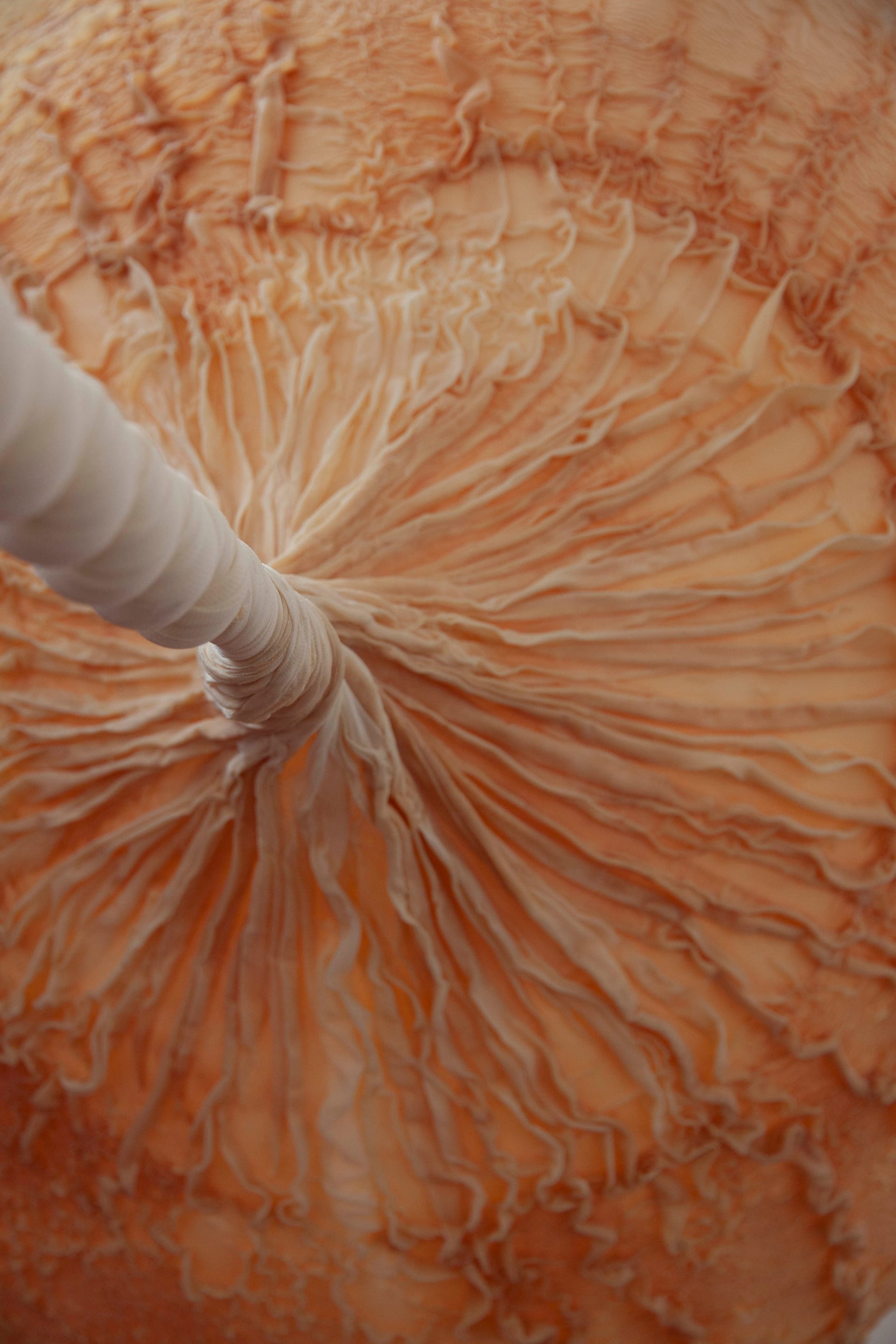 Abierto x Obras - Eva Fàbregas