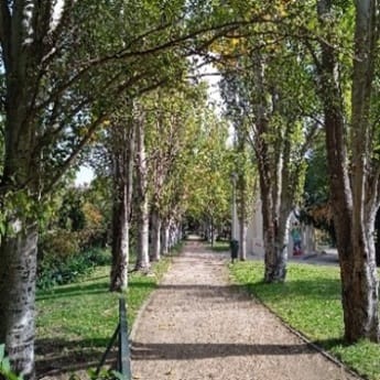 Senda botánica por Pradolongo