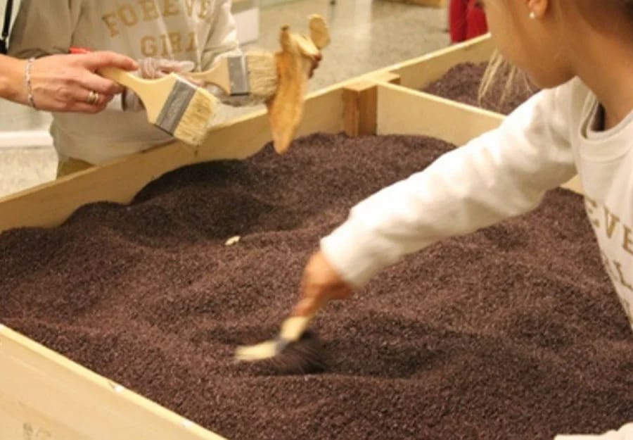 Taller familiar: ‘Excavando en familia’