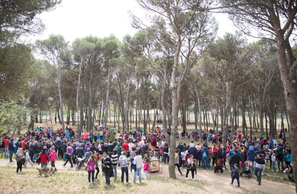 San Jorge 2025