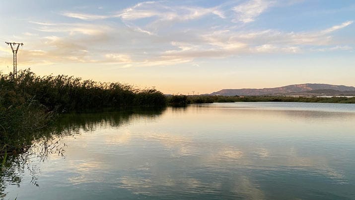Visita guiada gratuita "Lagunas de Campotéjar"