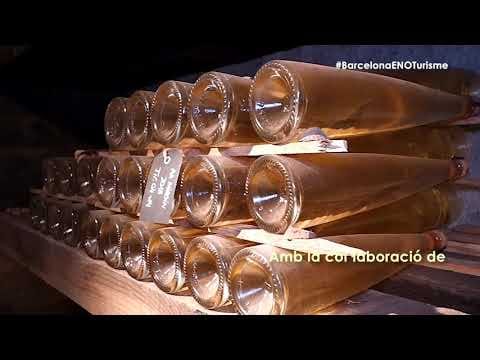 #BarcelonaENOTurisme, descubre bodegas como nunca te las habían explicado