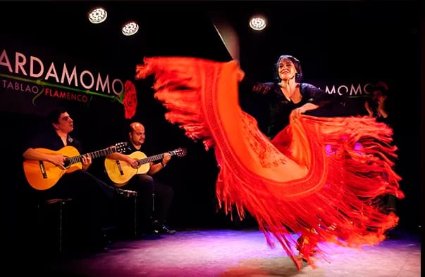 Espectáculo Flamenco