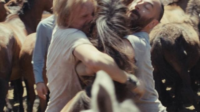 Proyección de 'Rapa'