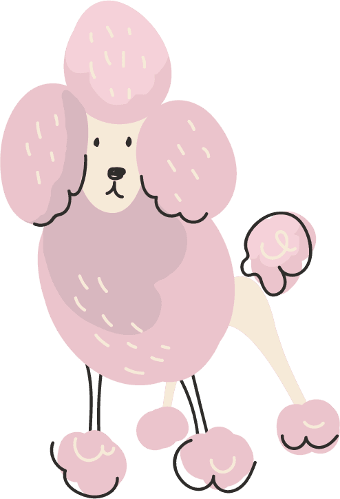 Concurso de Beleza Canina