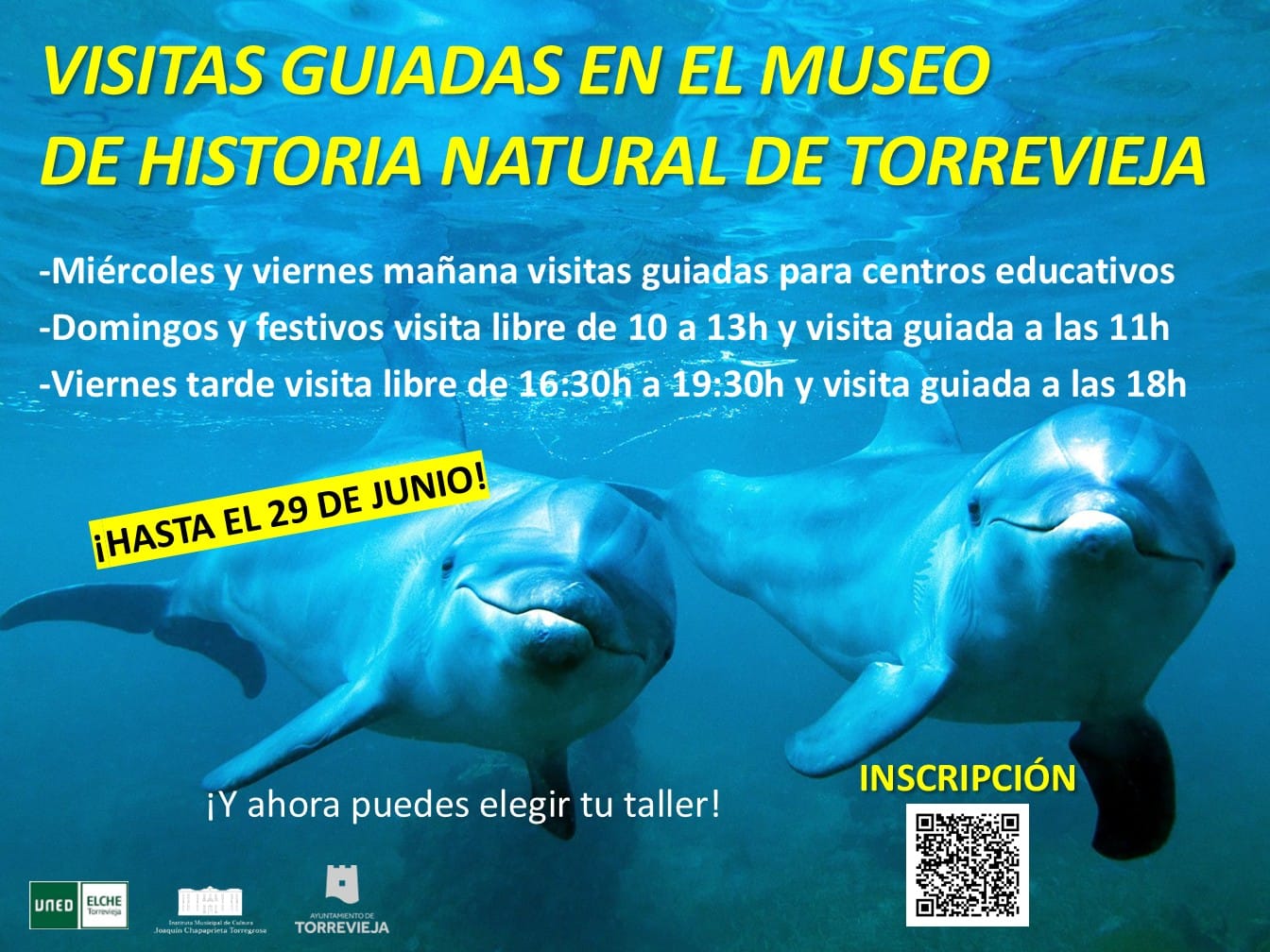 Visita guiada al Museo de Historia Natural