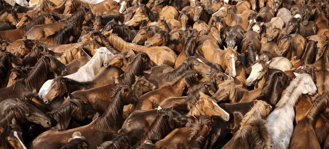 CURTOCIRCUÍTO 2025 · SE: ENCONTRO FILLOS DO VENTO