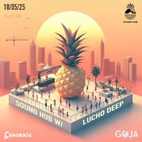 SOUND HUB: Electronic Rooftop Party W/ LUCHO DEEP