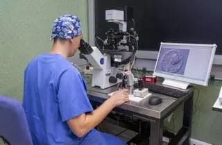 Taller de familias: Los niños nacidos por reproducción asistida tienen derecho a conocer su origen