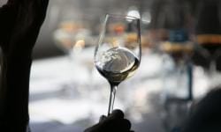 Visita con cata técnica de 9 vinos