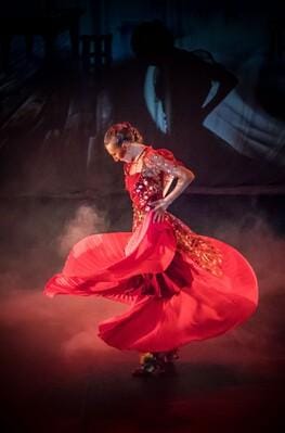 La prodigiosa zapatera