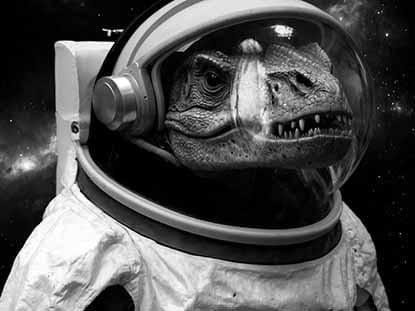 Egia, gezurra iruzurra! Amaia Urzain