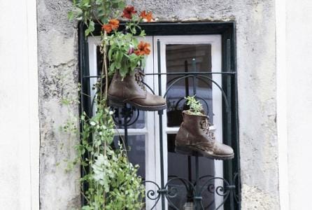 Presentación de libro - Amorante frantsesa