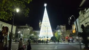 Exposición del Árbol de Navidad de 35m en la Alameda