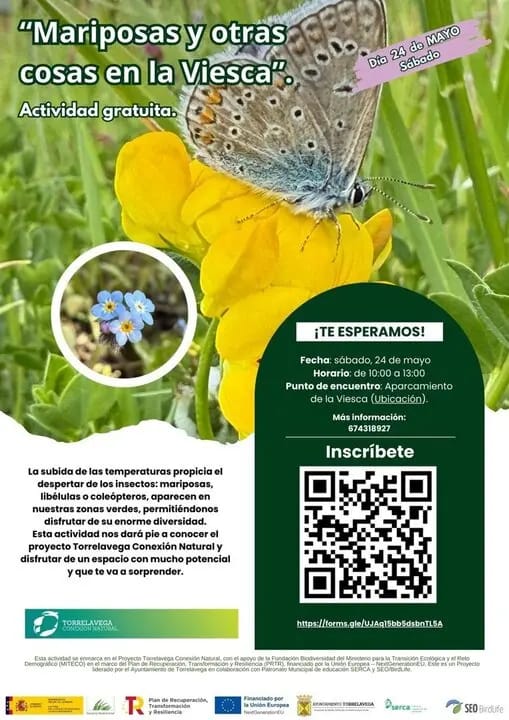 Actividad en torno a los insectos de La Viesca