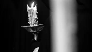 Tenebrae Lucis de Jorge Sesé