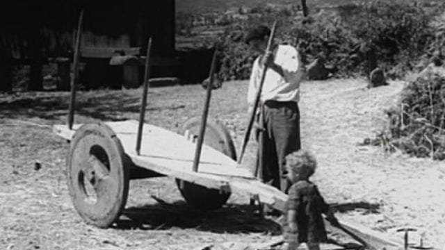 Proyección de 'O carro e o home'