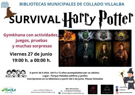 Survival Potter