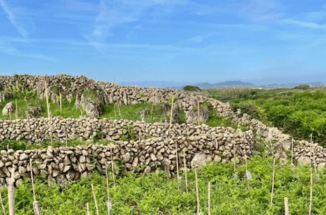 Muros de Pared Seca. Un patrimonio de la humanidad