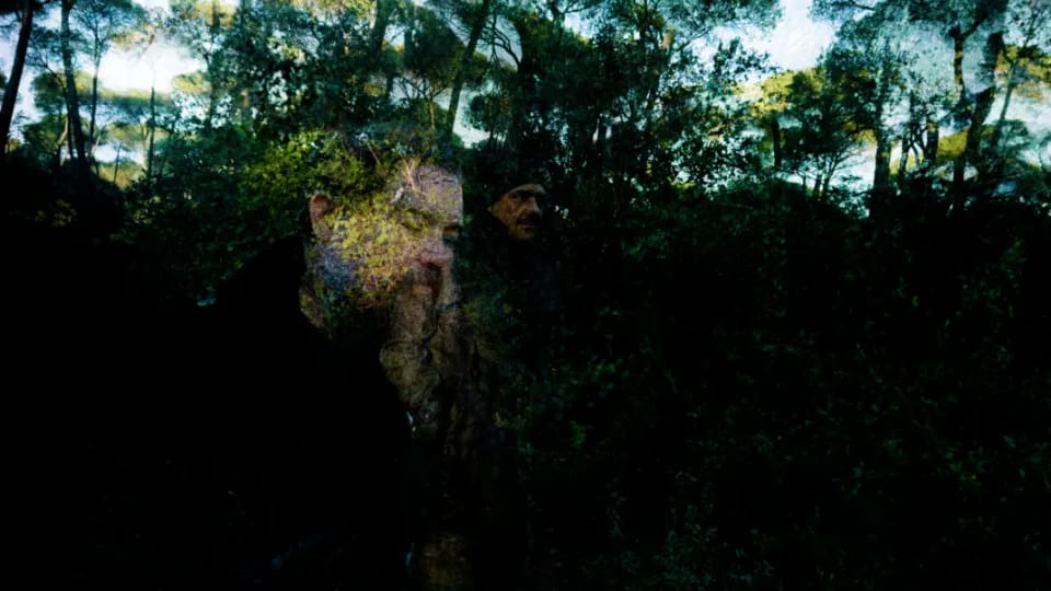 The Royal Landscaping Society en concierto