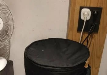 Concierto Declinare + Demenzia Sozial + Crowded