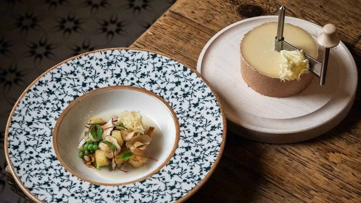 Cheese Chef's Challenge