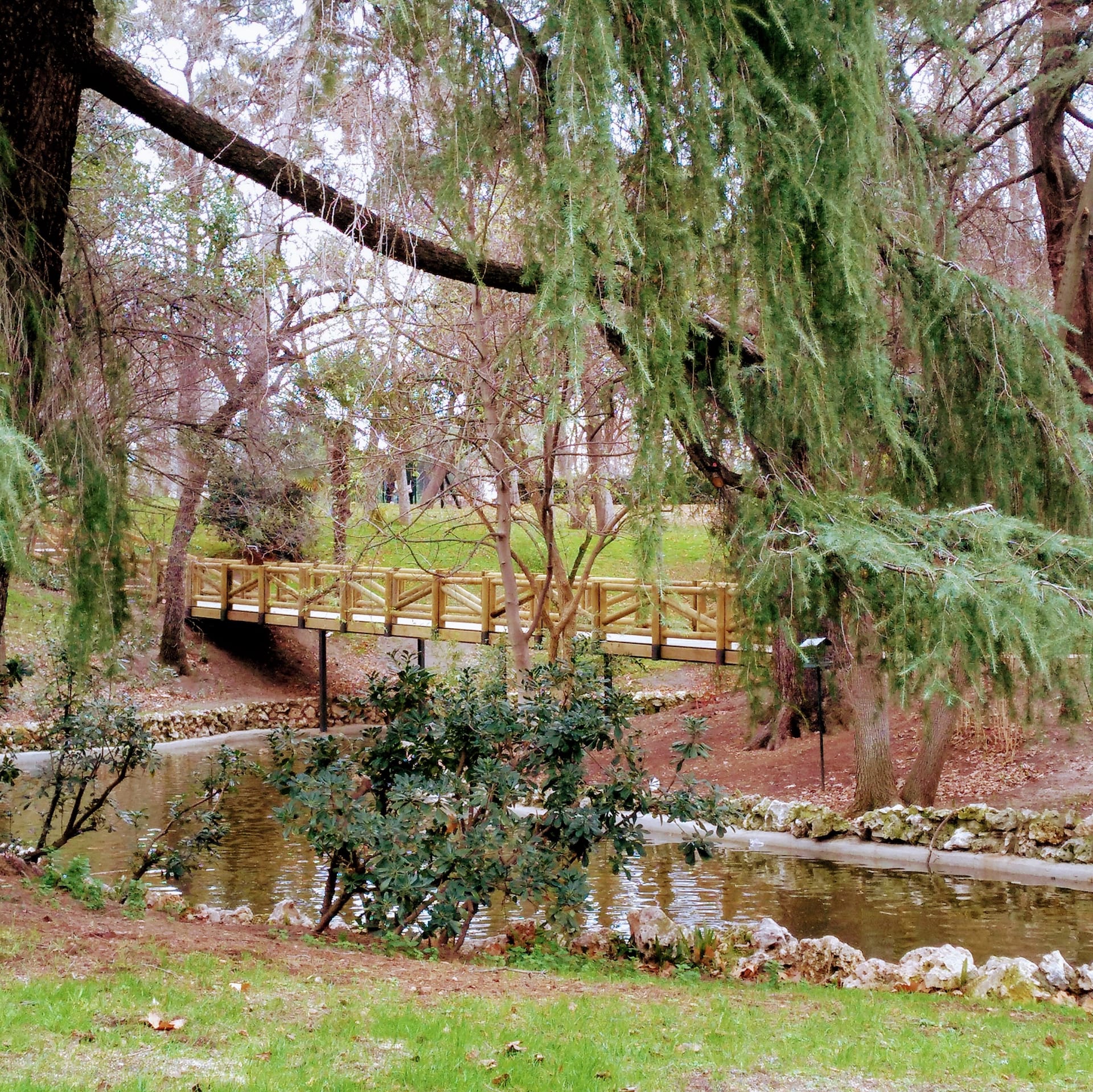 Senda 'Señales de la primavera'
