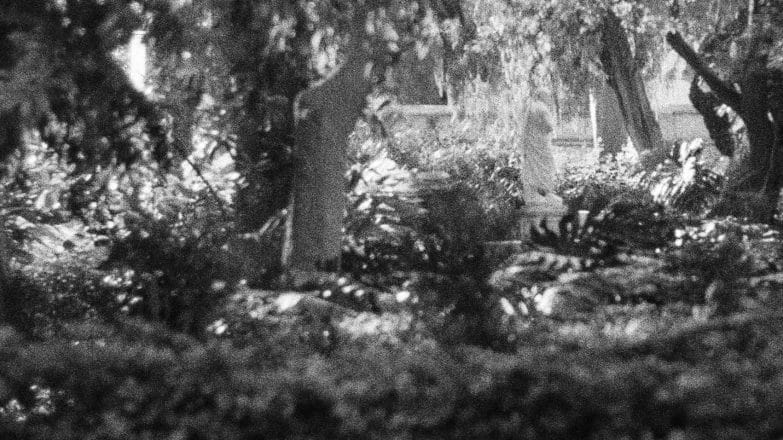 Naturaleza en Tránsito