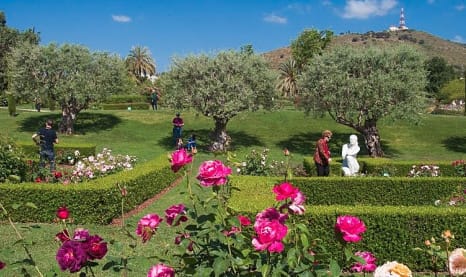 12 visitas, rutas e itinerarios de primavera
