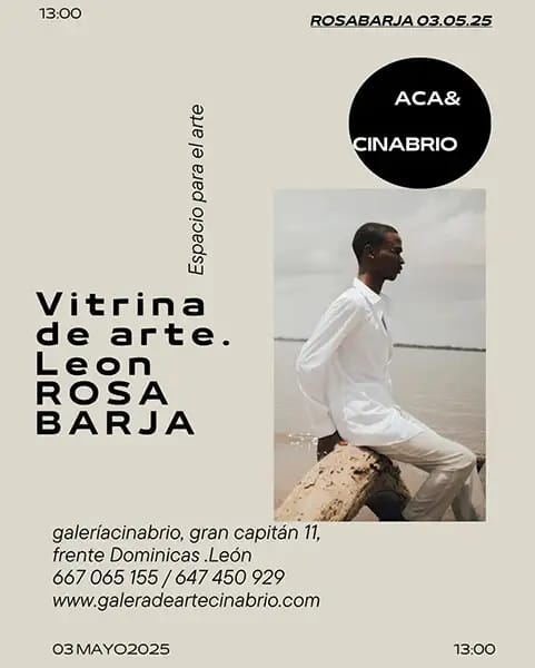 Rosa Barja. Vitrina del arte León. Galería de arte Cinabrio