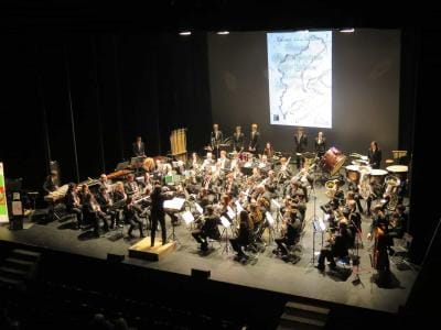 Intercanvis Musicals