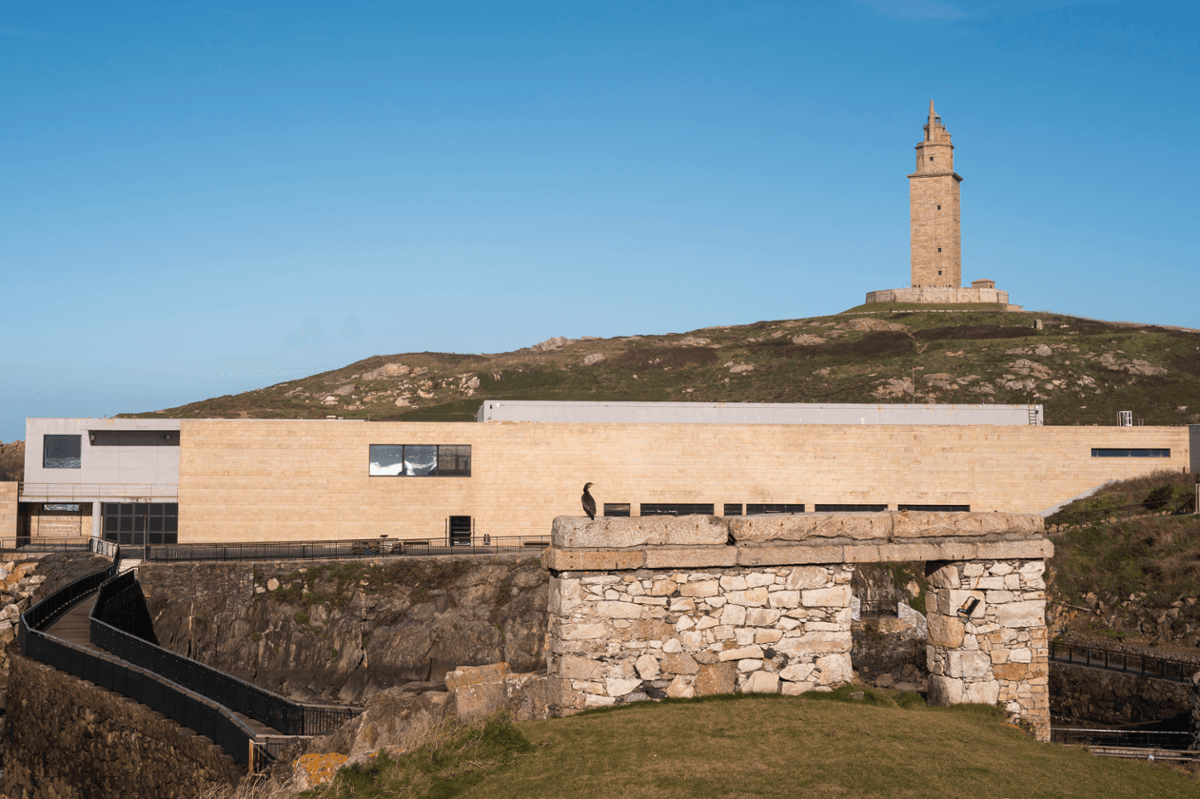 Taller sobre biodiversidade con animais vivos