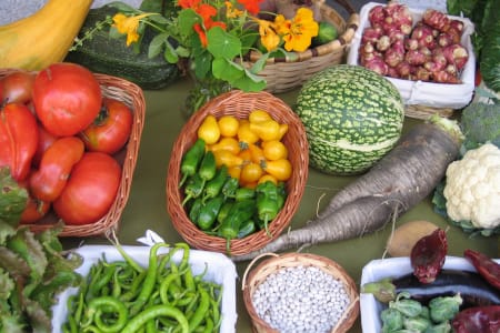 Visita al espacio test agrario Aleko Monasterioguren