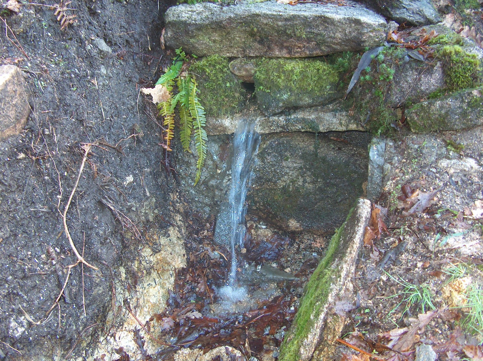 Jornada de recuperación y conservación del río Gafos