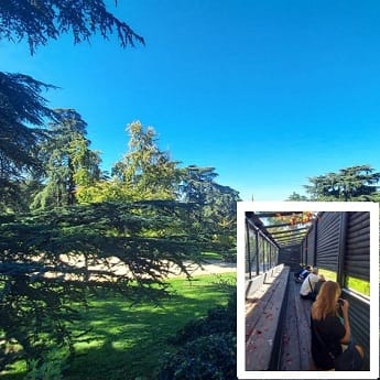 Itinerario Ornitológico Parque del Oeste