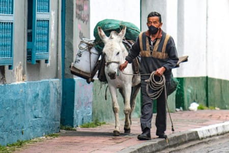 Recorrido naturalístico: La senda de los arrieros