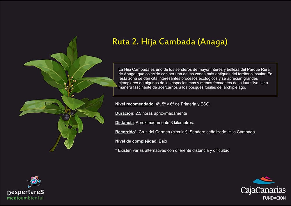 Ruta 2. Hija Cambada (Anaga)