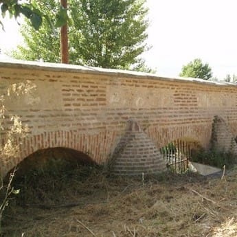 Ruta Guiada – Arroyo Prado del Rey