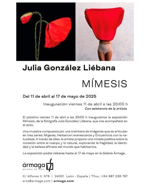 MÍMESIS. Julia González Liébana