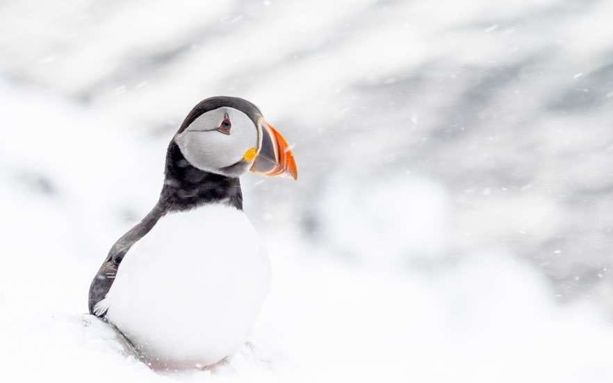 III Exposición fotográfica «Suspiros en la naturaleza»