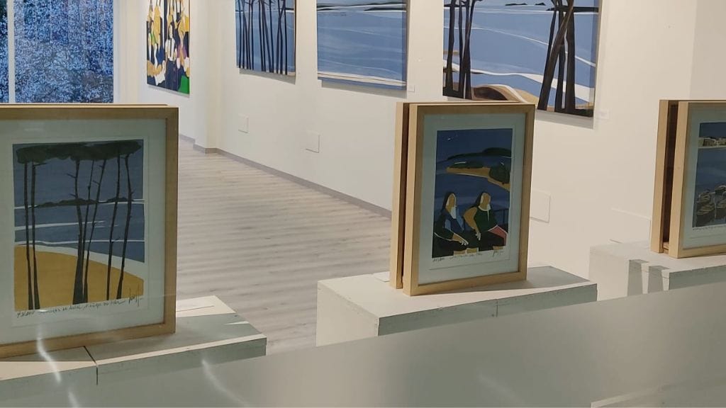 Descubertas, figurando emocións